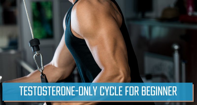 Is the steroid cycle good for beginners