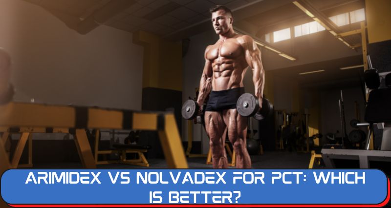 Arimidex vs Nolvadex for PCT: Which is Better?