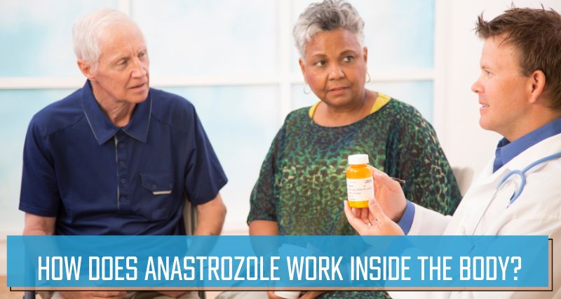 How does Anastrozole work inside the body