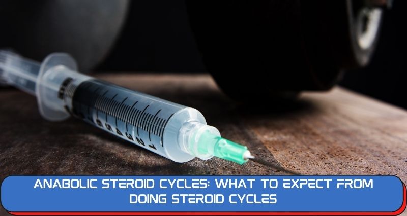 Anabolic Steroid Cycles_ What to Expect from Doing Steroid Cycles