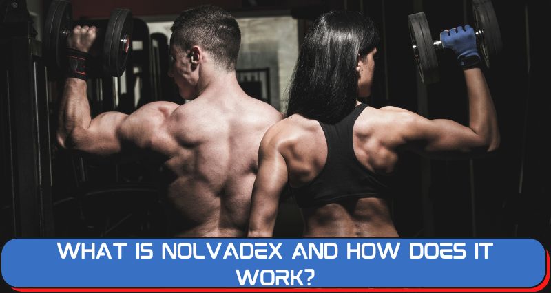 What is Nolvadex and How Does It Work?